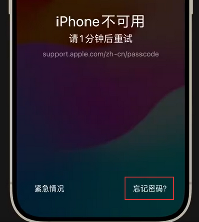 峨蔓镇苹果手机密码维修分享iPhone忘记了刚设置的密码 